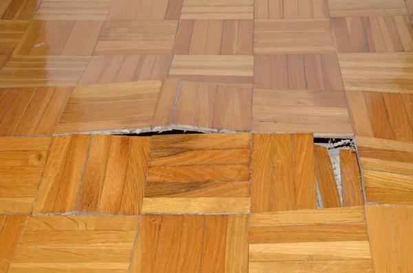 College Station’s Trusted Experts for Water Damage Repair